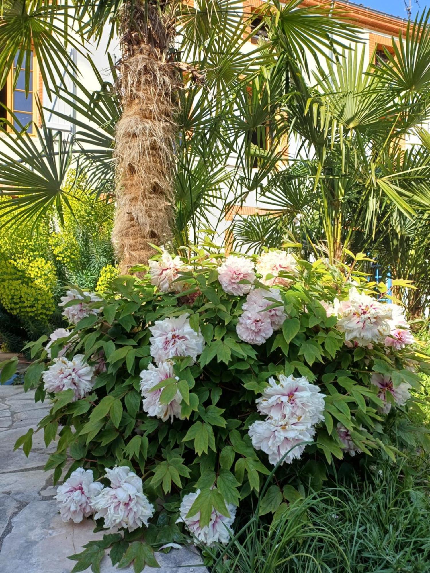 Готель Le Relais De Lezat Екстер'єр фото